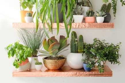 ������������ �������� ��������� ��������: �� �������� �� �������������