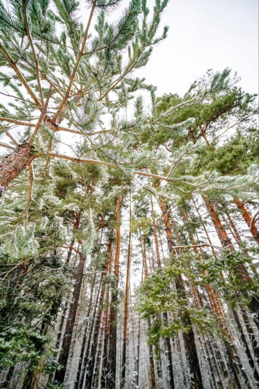 Доброе утро, Тольятти!. На календаре 13 февраля