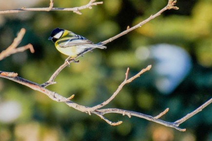 ������ ����, ��������!. �� ��������� 14 �������