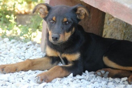 ����� ����������: ��� ������������ � ��������� �������� ����� �������� �������� � �������