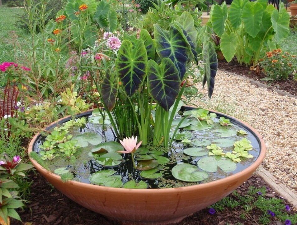 12 ���� ��� �������� ������ ����-�������� �� ����� �������