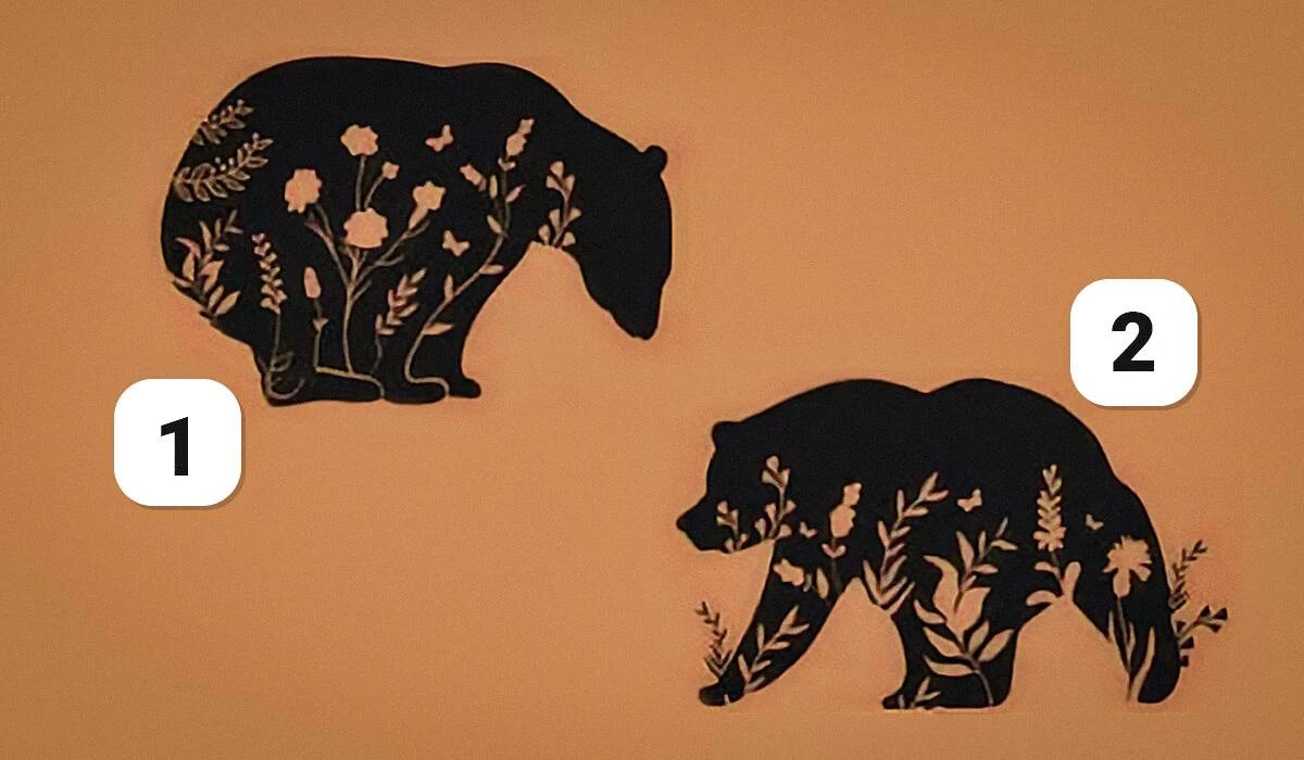 Как медведи отражают ваши скрытые черты: психологический тест на понимание личности