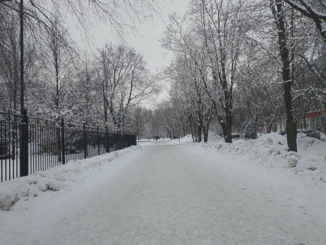 Ветер крепчает. Погода в Самарской области снова в ударе