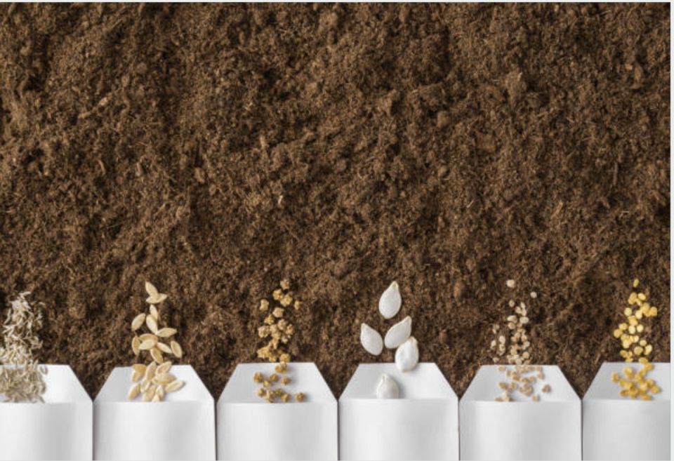 �������: ����� ��� ������� � ��� �����, ����� �� �������� �����?