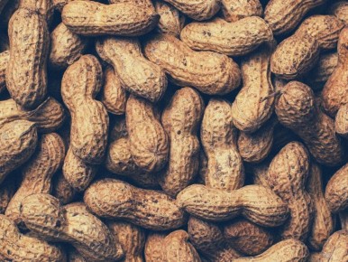 ��� ������ ����������� ����� �������� ������: ������� ��������� ������