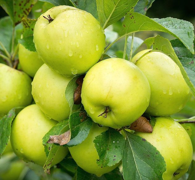 15 ������ ������ ��� �������� �������, ������� ����������� ����� �����������