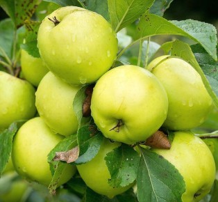 15 ������ ������ ��� �������� �������, ������� ����������� ����� �����������