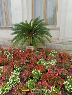 Работа на пенсии: необходимость или стремление к самореализации?