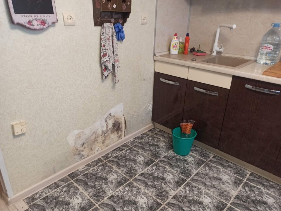 Как обнаружение плесени может спасти ваше здоровье и жилье