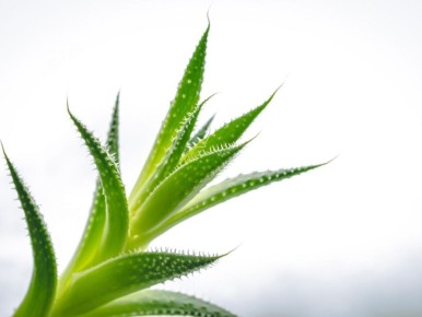 ��� ���������� ����: ������� ������ ��� ����������