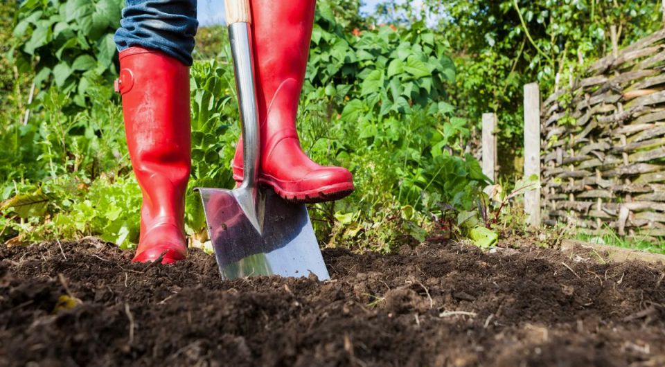 ����� ��� ������: ��� �������� ������ ������ � ��������� �����