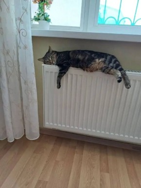 ����� �� �����?. ����� ������� ��� ������ � ����� ��� ����� �� �������))