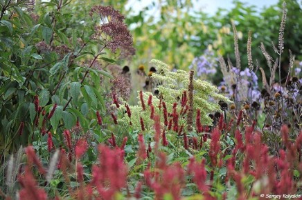 ����� ����������������: ��������� ����� ��� ������ ����