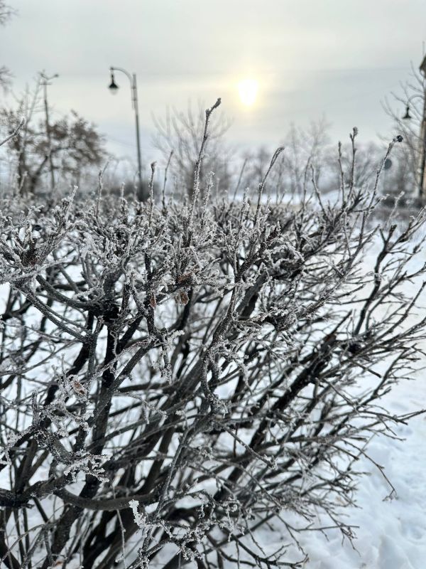Просыпаемся, Тольятти! День ждёт ваших свершений!