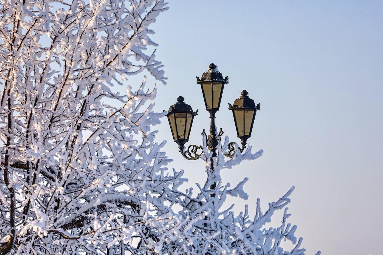 Морозная и безветренная погода ожидает Самарскую область в День защитника Отечества