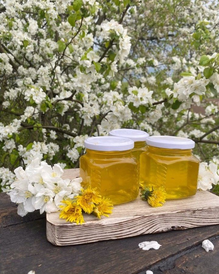 Как сделать варенье из одуванчиков: секреты и советы для начинающих