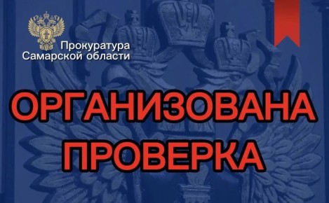 Стая безнадзорных собак напала на подростка в Сызрани