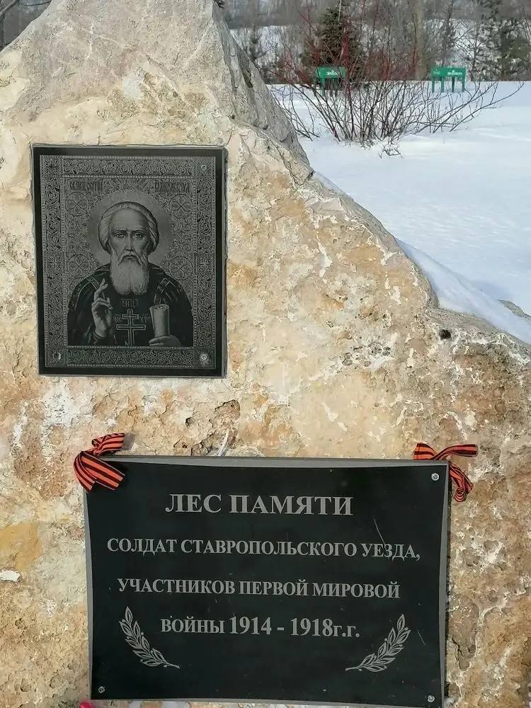 23 февраля 2026 года в Тольятти на Мемориале «Лес Памяти» состоялось Торжественное мероприятие, посвященное ДНЮ ЗАЩИТНИКА ОТЕЧЕСТВА 23 февраля 2026 года в Тольятти на Мемориале «Лес Памяти» состоялось Торжественное мероприятие, посвященное ДНЮ ЗАЩИТНИКА ОТЕЧЕСТВА