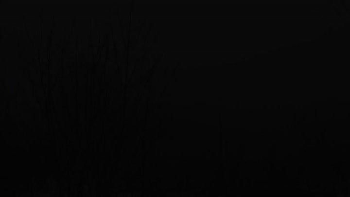 Илья Сухих: 23 февраля. День защитника Отечества