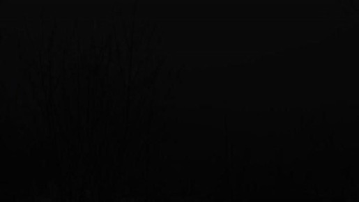 ���� �����: 23 �������. ���� ��������� ���������