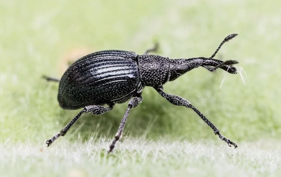 ��� ���������� ���������� � ������������ �� ��������