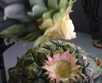 Как вырастить ароматный ананас в домашних условиях: пошаговая инструкция