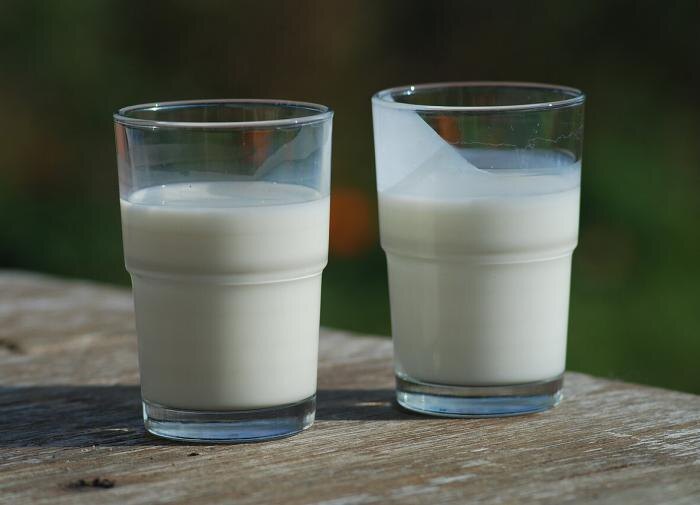 Молоко и кефир: секреты успешной подкормки растений