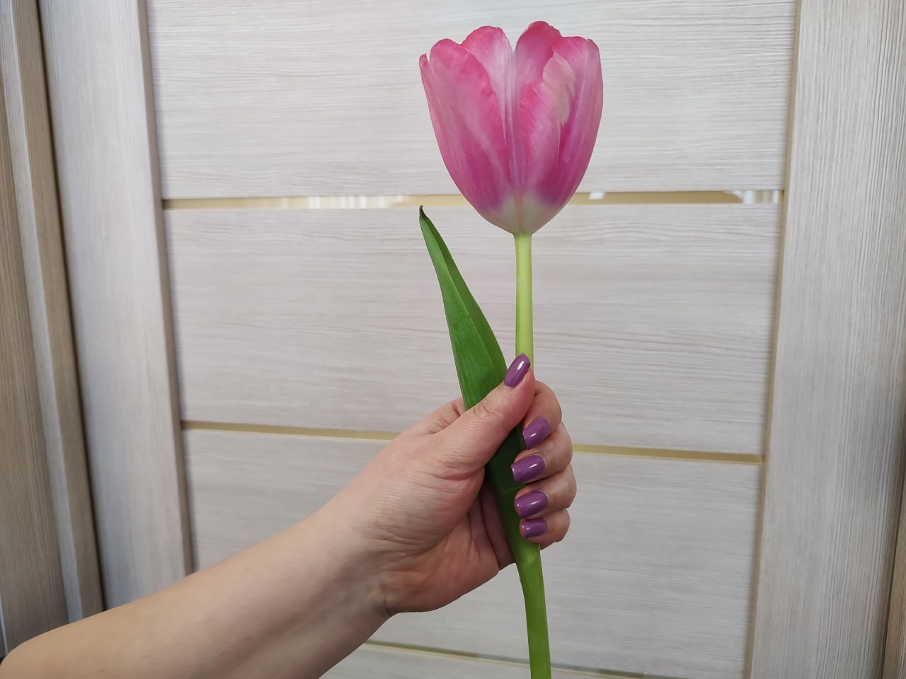 Пять дней до весны!. Представляете - на этой неделе уже весна! День ощутимо длиннее, солнце ярче, а магазины наполняются мимозами и тюльпанами! Но зима как обычно не сдает позиций! Вот и сегодня в Тольятти морозный...