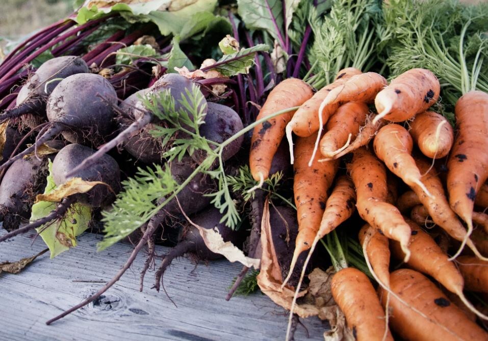 Уход за корнеплодами: секреты для богатого урожая и длительного хранения