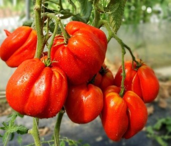 ����� ��������: ��������� ����� ��� ��������� ������