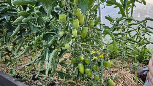 ��� ��������� ����������� ���� � ����: 5 ������ ��� ����