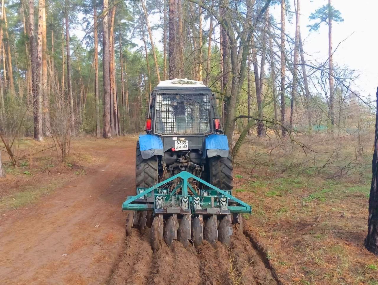 С заботой о лесе. На коллегии администрации был представлен отчет о реализации муниципальной программы «Охрана, защита и воспроизводство лесов, расположенных в границах городского округа Тольятти» С заботой о лесе. На коллегии администрации был представлен отчет о реализации муниципальной программы «Охрана, защита и воспроизводство лесов, расположенных в границах городского округа Тольятти»