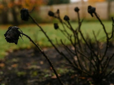 ����� ���� ������������: ��� ������ �������� �������� � ������� ������