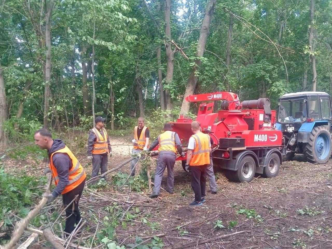 С заботой о лесе. На коллегии администрации был представлен отчет о реализации муниципальной программы «Охрана, защита и воспроизводство лесов, расположенных в границах городского округа Тольятти» С заботой о лесе. На коллегии администрации был представлен отчет о реализации муниципальной программы «Охрана, защита и воспроизводство лесов, расположенных в границах городского округа Тольятти»