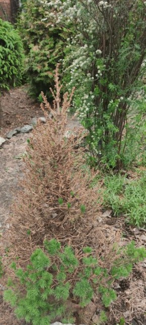 ��� ��������� ������� ����� ��� ��� ������ � ����