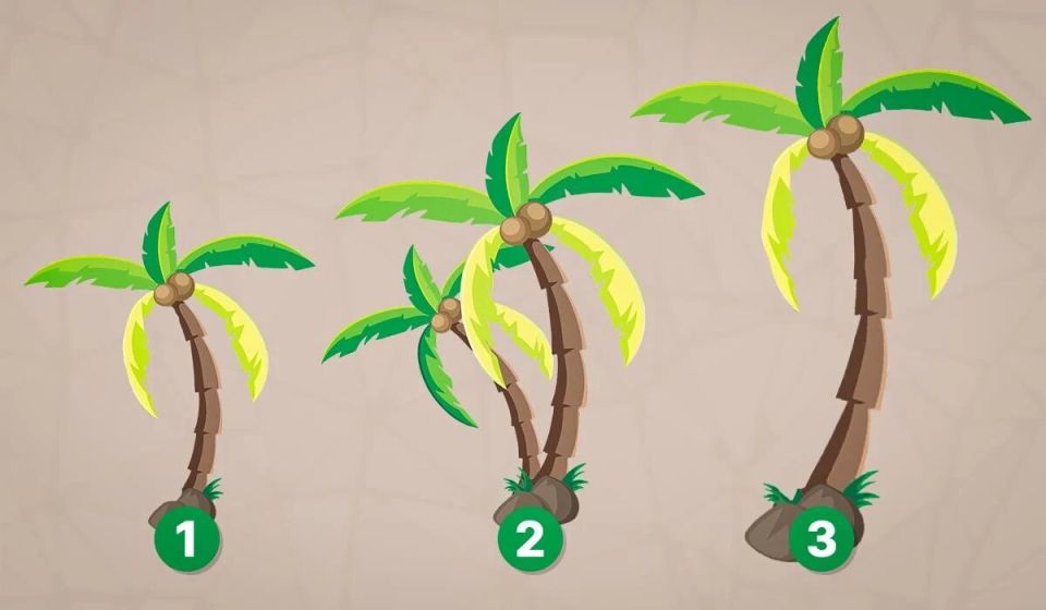 ���� �� �����������: �������, ��� �� ������������ � �����������