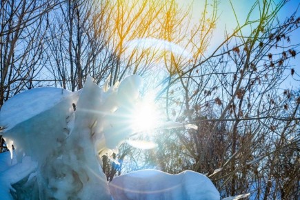 Доброе утро, Тольятти!. На календаре 26 февраля