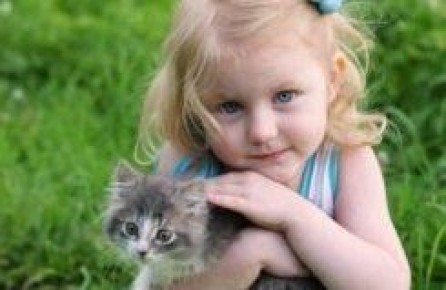 Как помочь ребенку стать ответственным хозяином для котенка