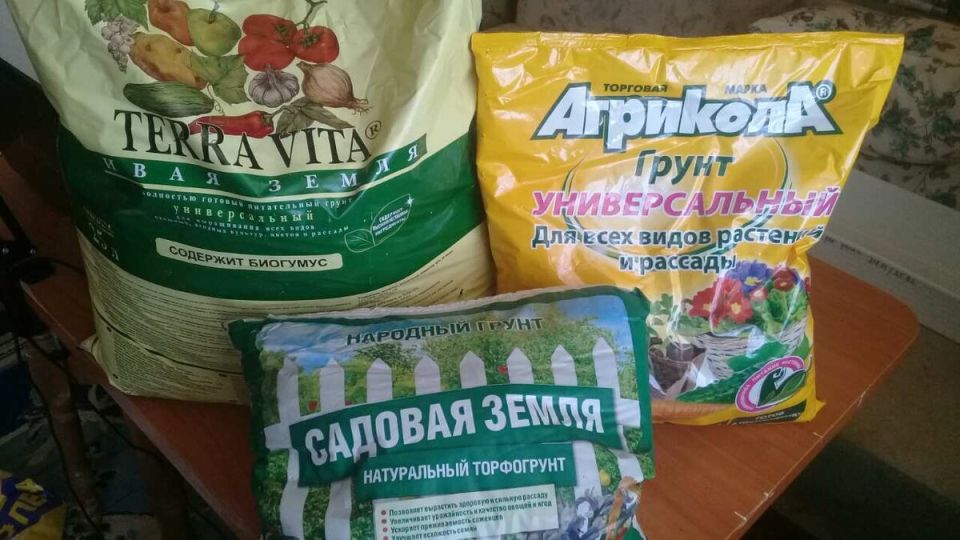 ����� ��� �������: ��� �� ��������� ������ ���