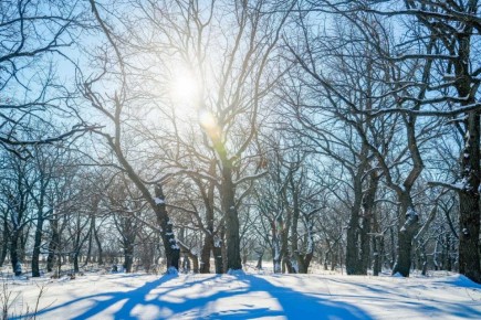 ������ ����, ��������!. �� ��������� 28 �������