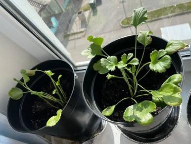 ����� � ����� �� ������ ������ �� �����, �� � ������ ������� �� ������������