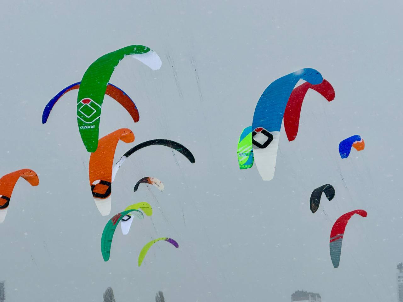 В Тольятти проходит чемпионат России по парусному спорту «Жигулёвское море» В Тольятти проходит чемпионат России по парусному спорту «Жигулёвское море»