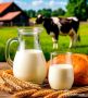Как правильно выбрать молоко: на что обратить внимание?