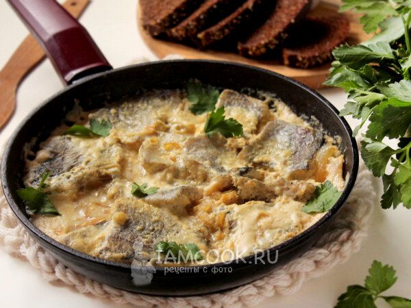 ������ ������ � ��������� �����: ��������� ���� ��� ���� �����