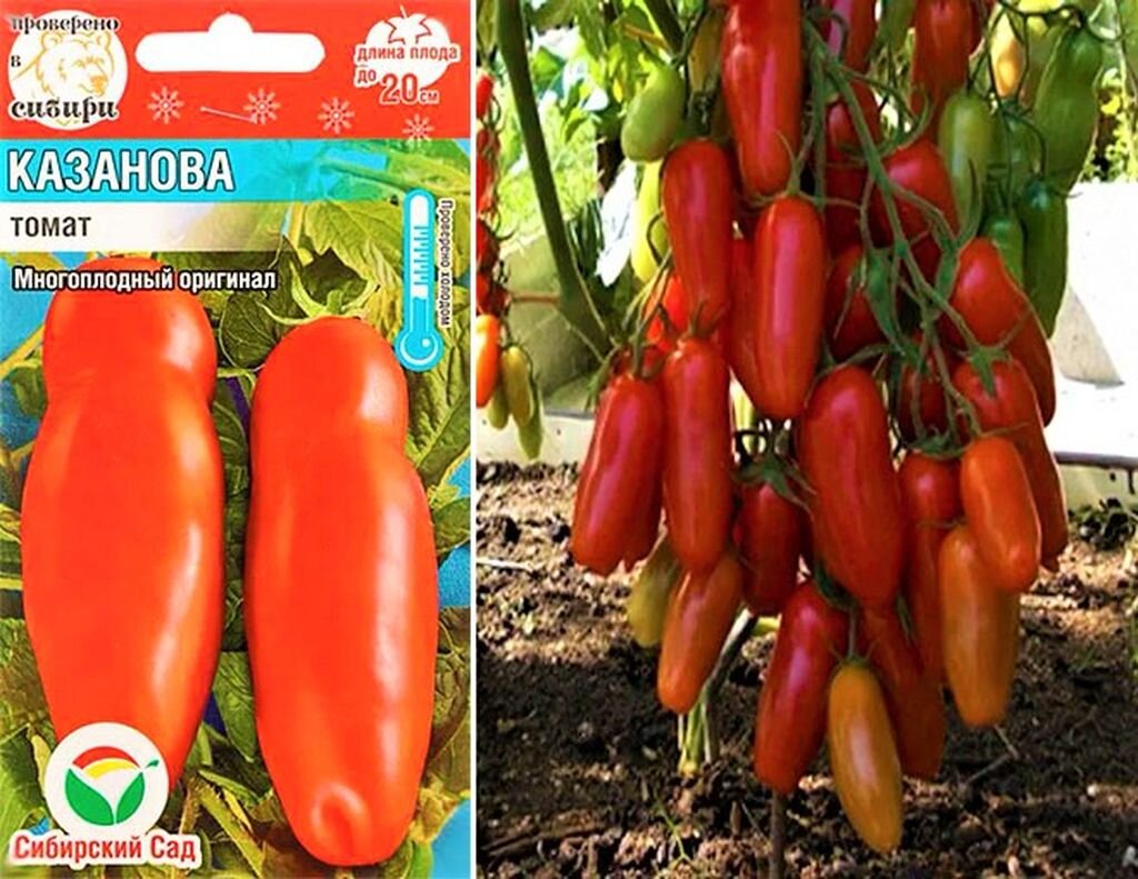 Длинноплодные томаты, которые стоит посадить: самые урожайные сорта