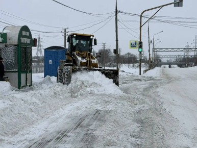 ���� �����: � ������ ���� �����, ��������!