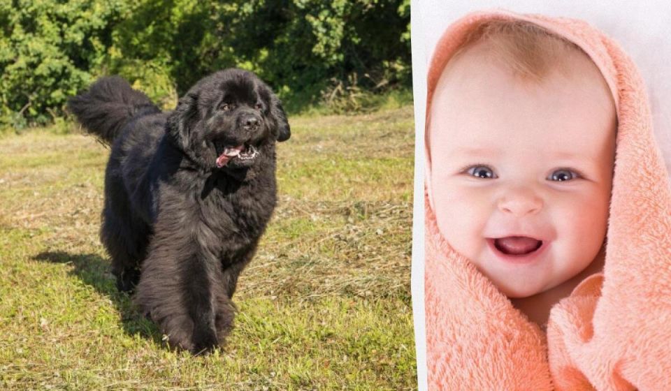 ��� ������� ������� ����� ��� �����: ���-3 ������ ����� ��� �����