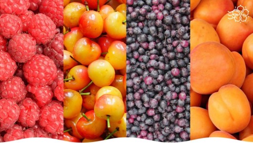 ���� ����� �������� ���� �� ��� ����� ������