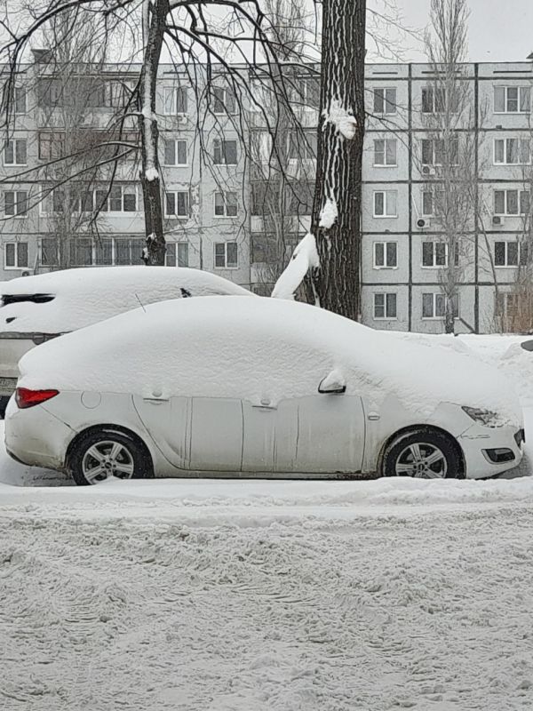 �� ���, ����������? ���� �� ������!