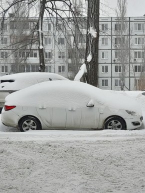 �� ���, ����������? ���� �� ������!